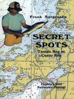 cover image of Secret Spots&#8212;Tampa Bay to Cedar Key
